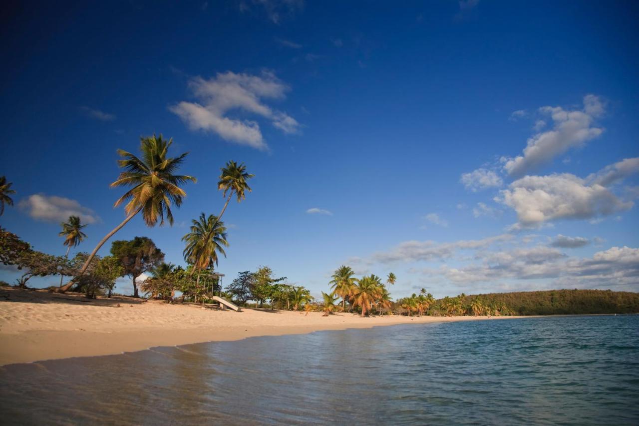 Las Terrazas Los Chivos Vieques Exteriör bild