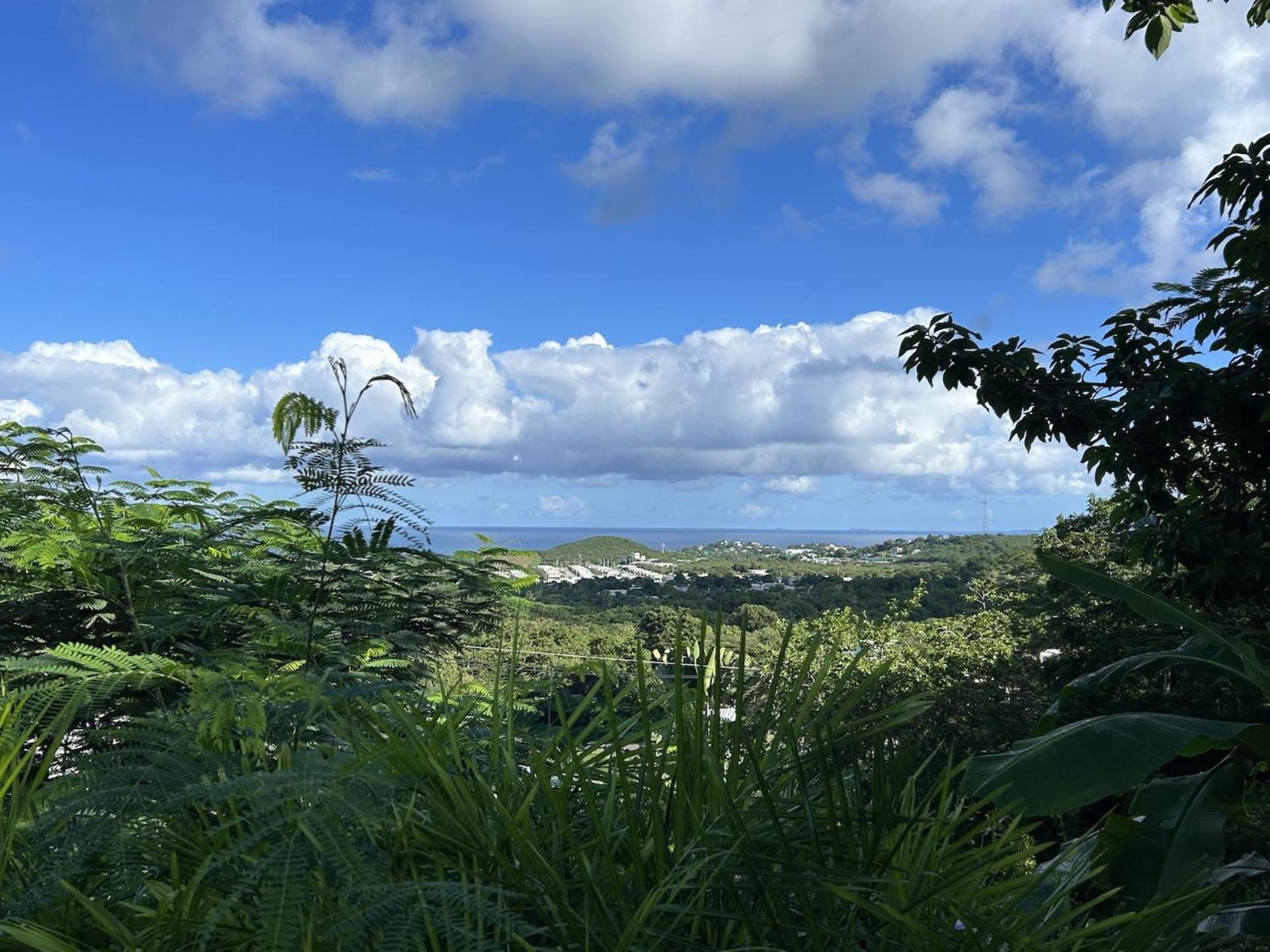 Las Terrazas Los Chivos Vieques Exteriör bild